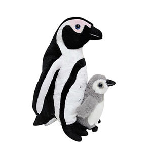 Mother And Baby African Penguin
