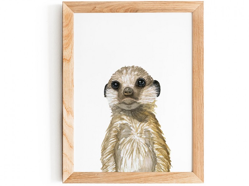 Meerkat Print