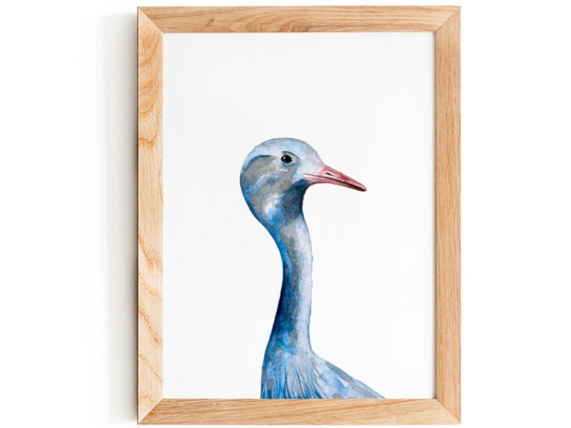 Blue Crane Print