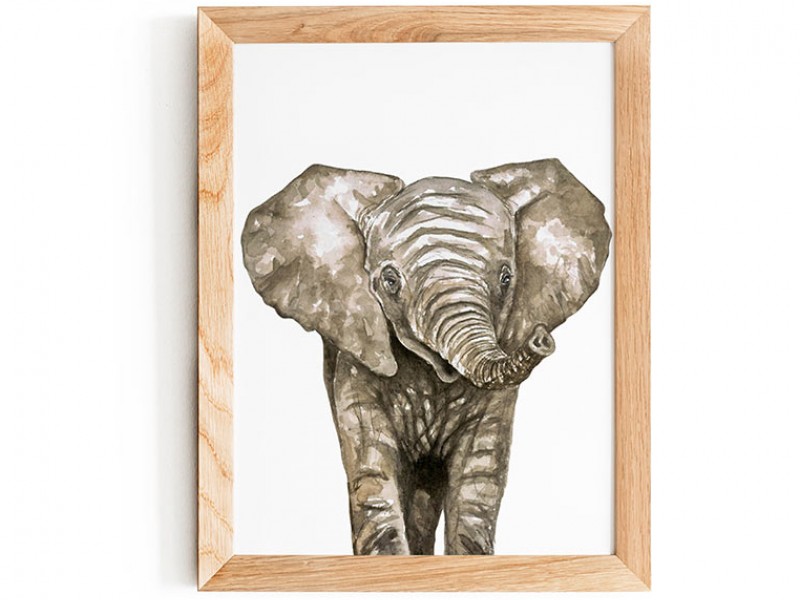 Baby Elephant Print