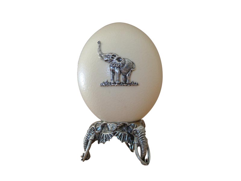 Ostrich Egg Elephant