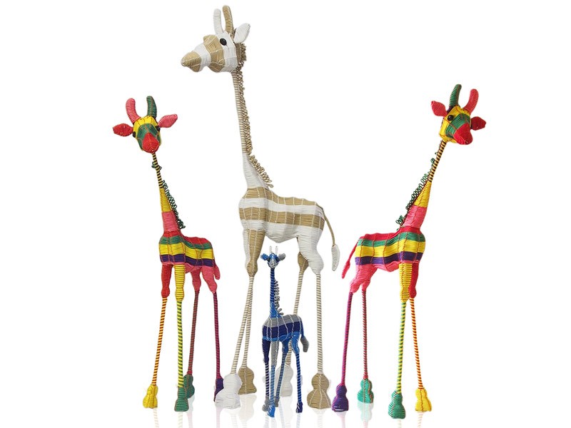 Africa in Colour Giraffe