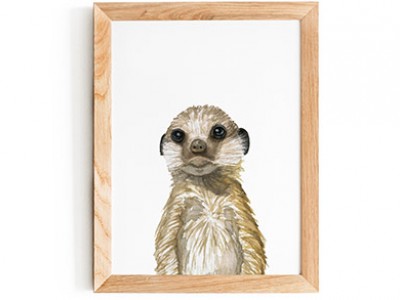 Meerkat Print