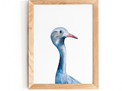 Blue Crane Print