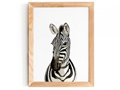 Zebra Foal Print