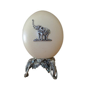 Ostrich Egg Elephant