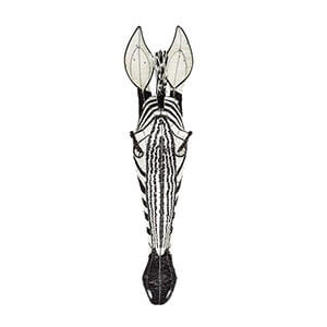 Beaded Wall Hanging Zebra Head