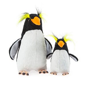 Rockhopper Penguin